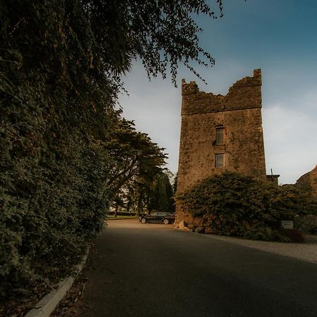 Killiane Castle Country House & Farm Drinagh ภายนอก รูปภาพ