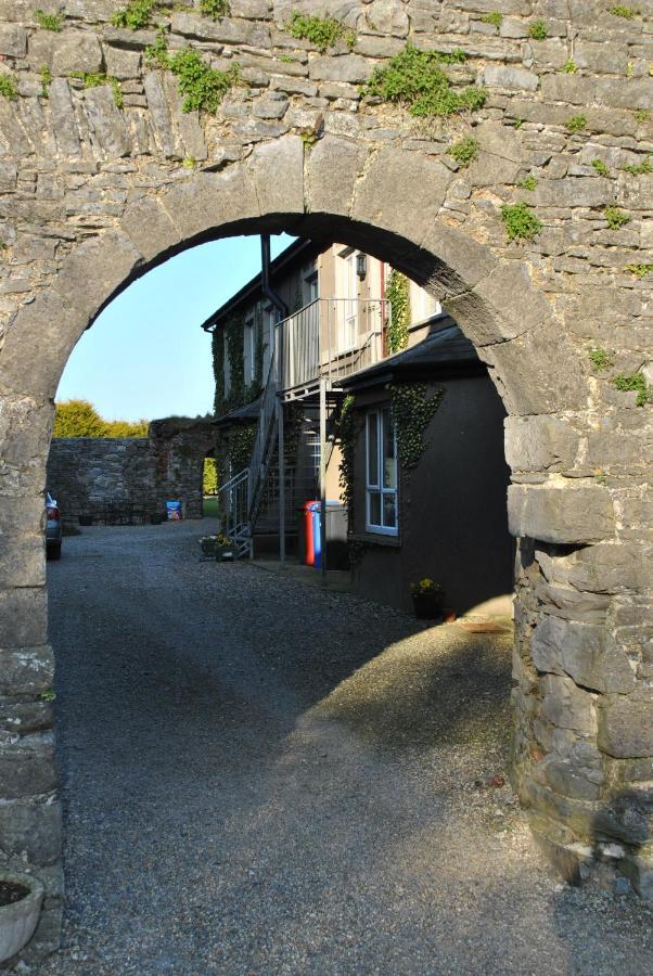 Killiane Castle Country House & Farm Drinagh ภายนอก รูปภาพ