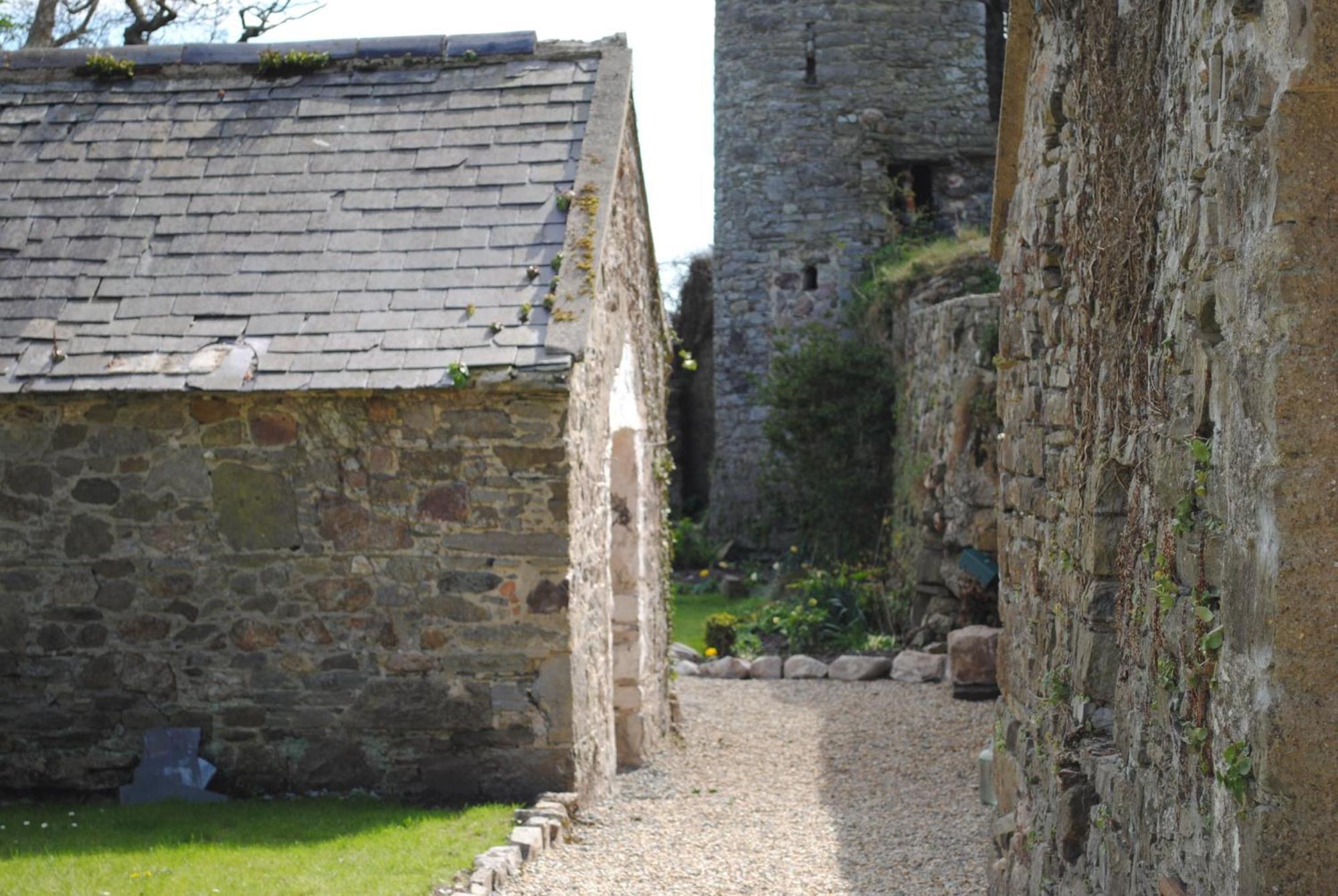 Killiane Castle Country House & Farm Drinagh ภายนอก รูปภาพ