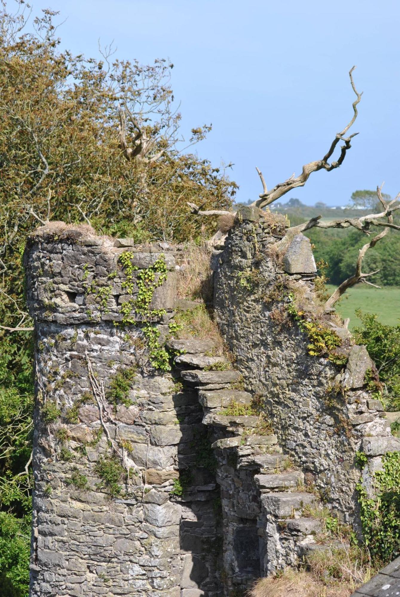 Killiane Castle Country House & Farm Drinagh ภายนอก รูปภาพ