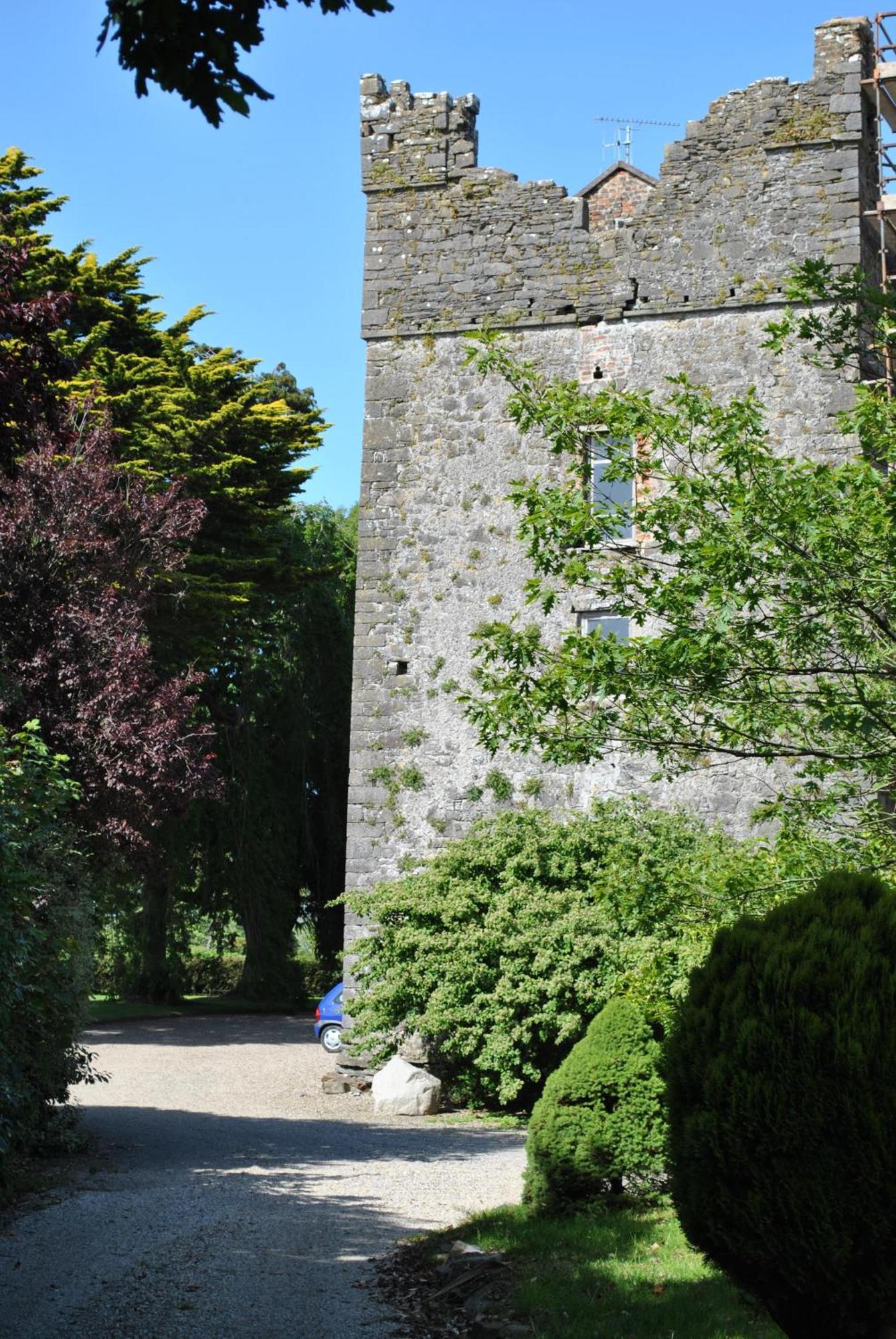 Killiane Castle Country House & Farm Drinagh ภายนอก รูปภาพ