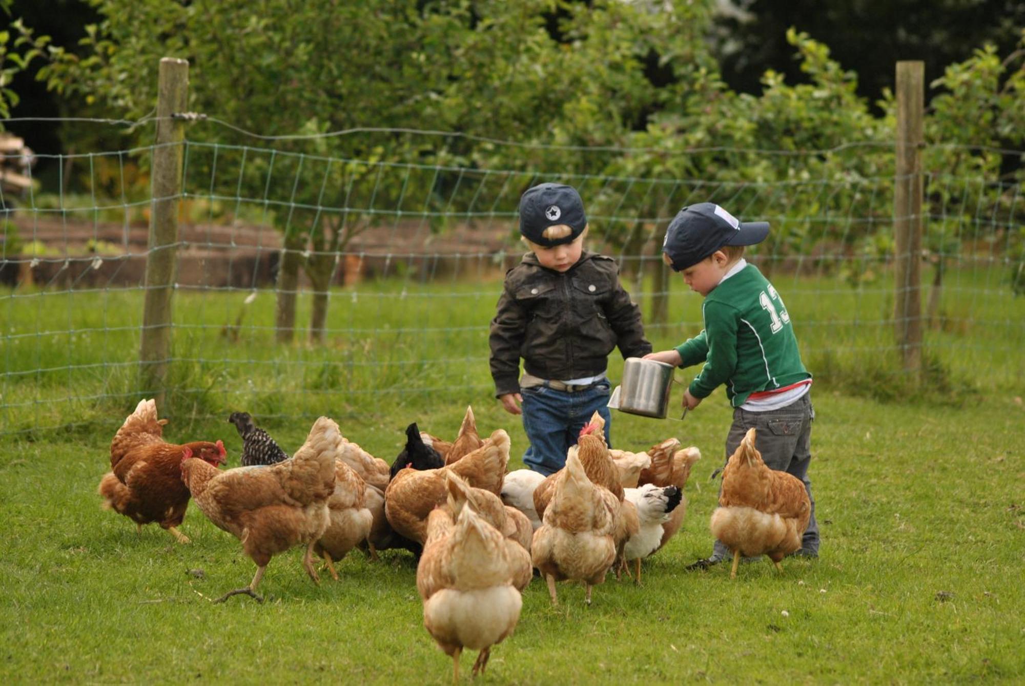 Killiane Castle Country House & Farm Drinagh ภายนอก รูปภาพ