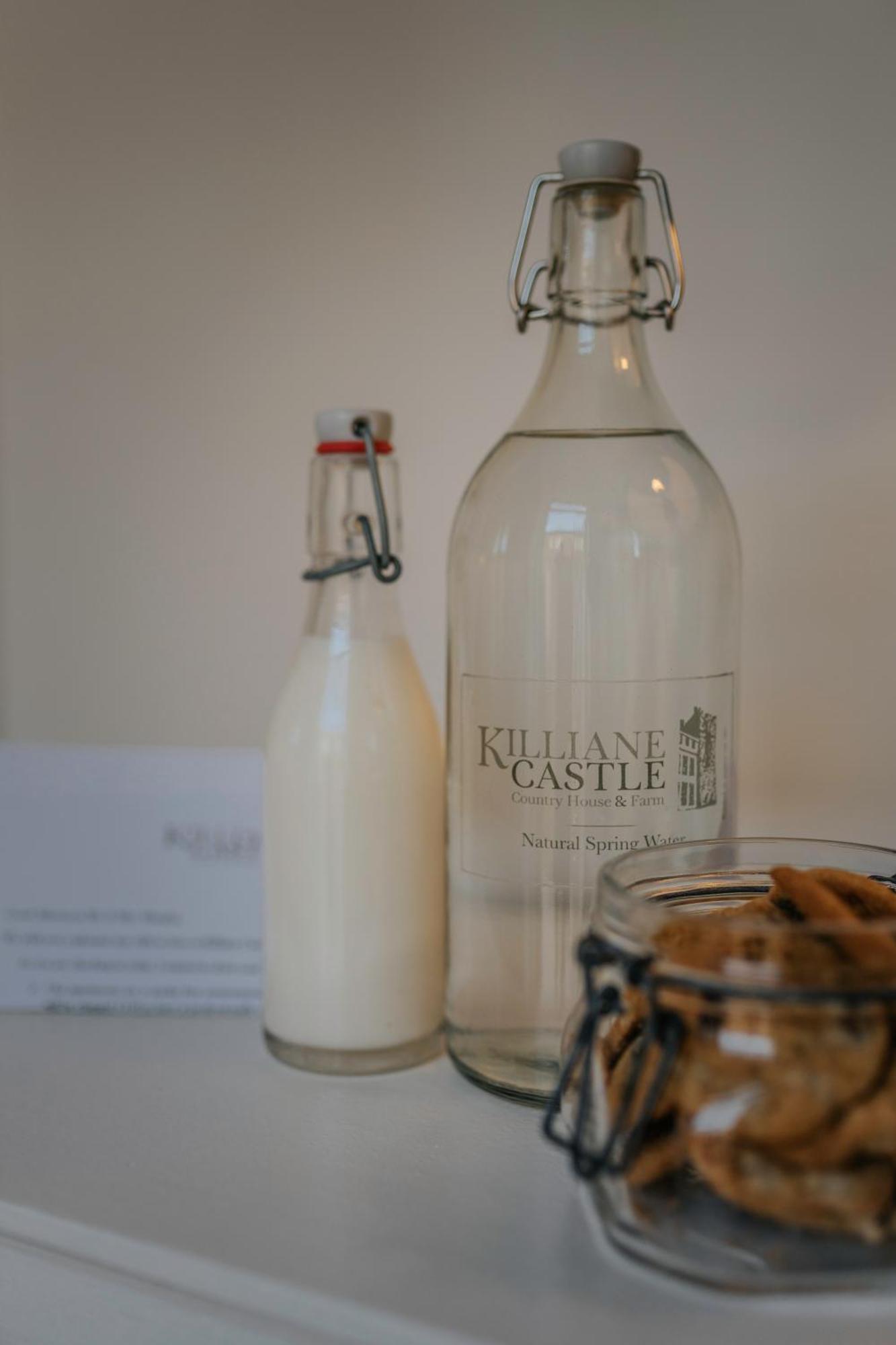 Killiane Castle Country House & Farm Drinagh ภายนอก รูปภาพ