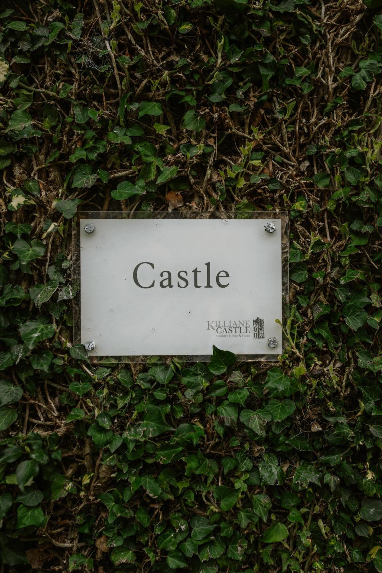Killiane Castle Country House & Farm Drinagh ภายนอก รูปภาพ