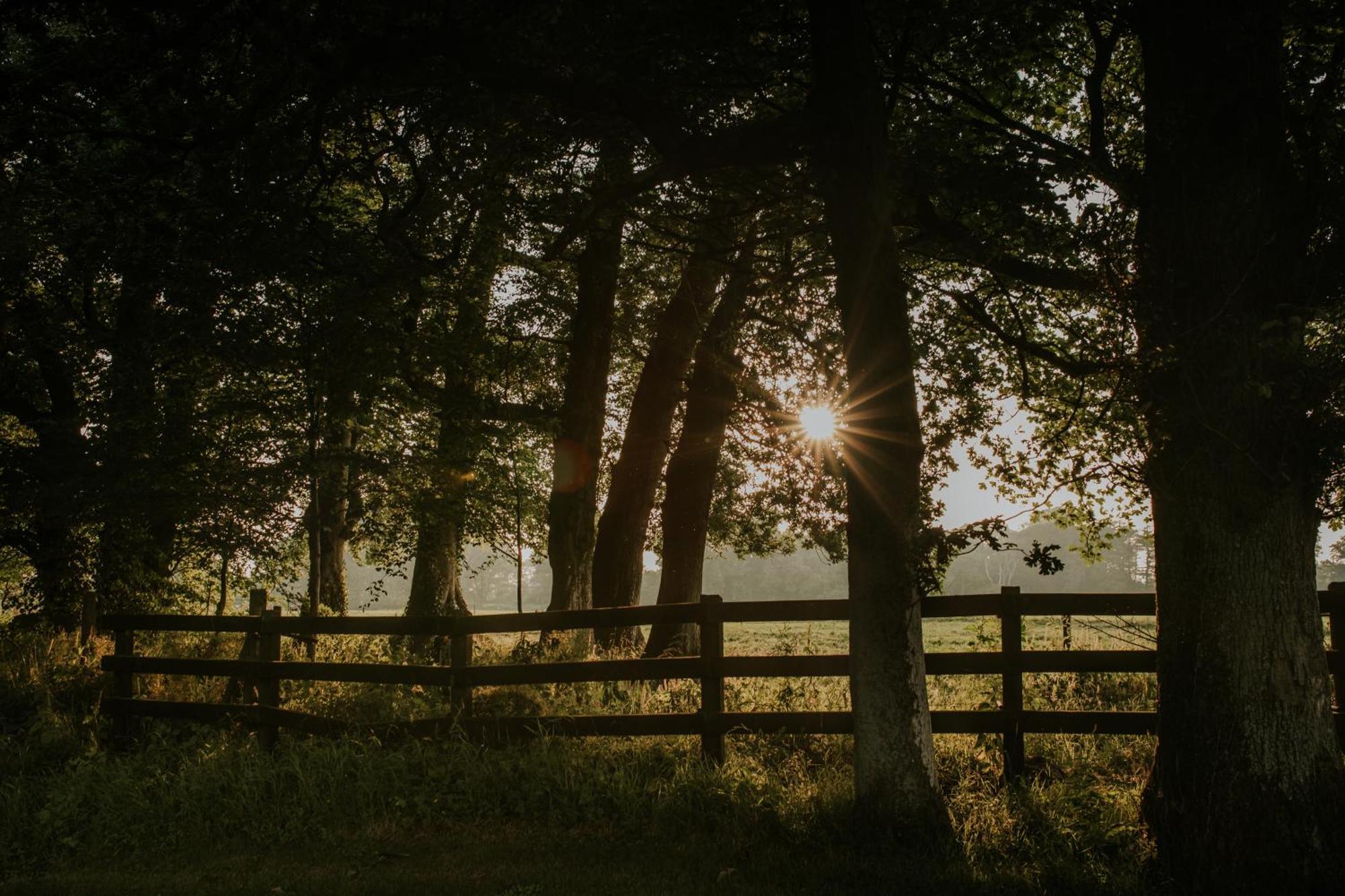 Killiane Castle Country House & Farm Drinagh ภายนอก รูปภาพ