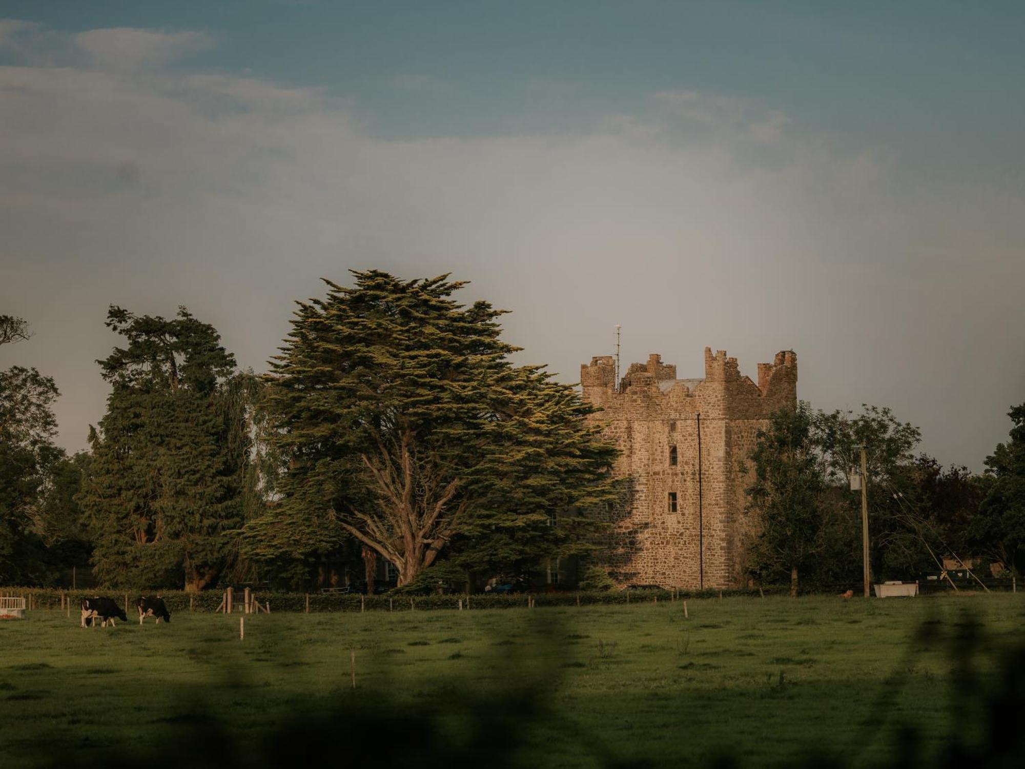 Killiane Castle Country House & Farm Drinagh ภายนอก รูปภาพ