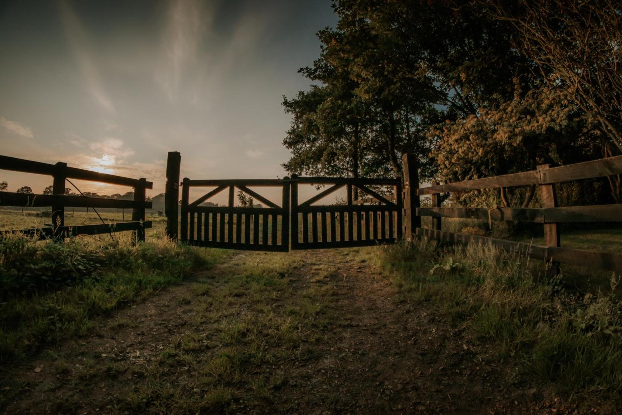 Killiane Castle Country House & Farm Drinagh ภายนอก รูปภาพ